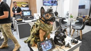 Uluslararası Savunma Sanayii Fuarı (IDEF'23) devam ediyor