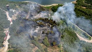 Sultangazi'de ormanlık alanda yangın