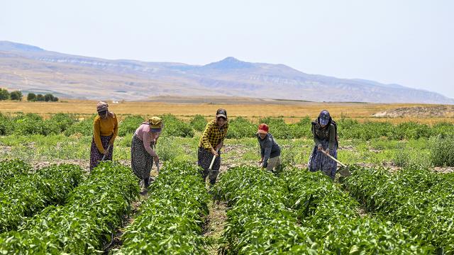 2,9 milyon çiftçiye 6 ayda 106 milyar lira destek haber görseli