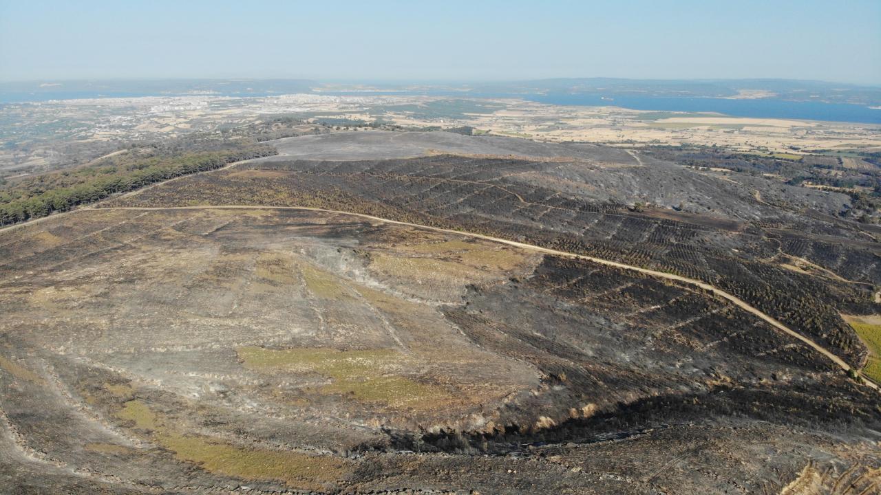 Yangın 52 saat sonra kontrol altına alındı