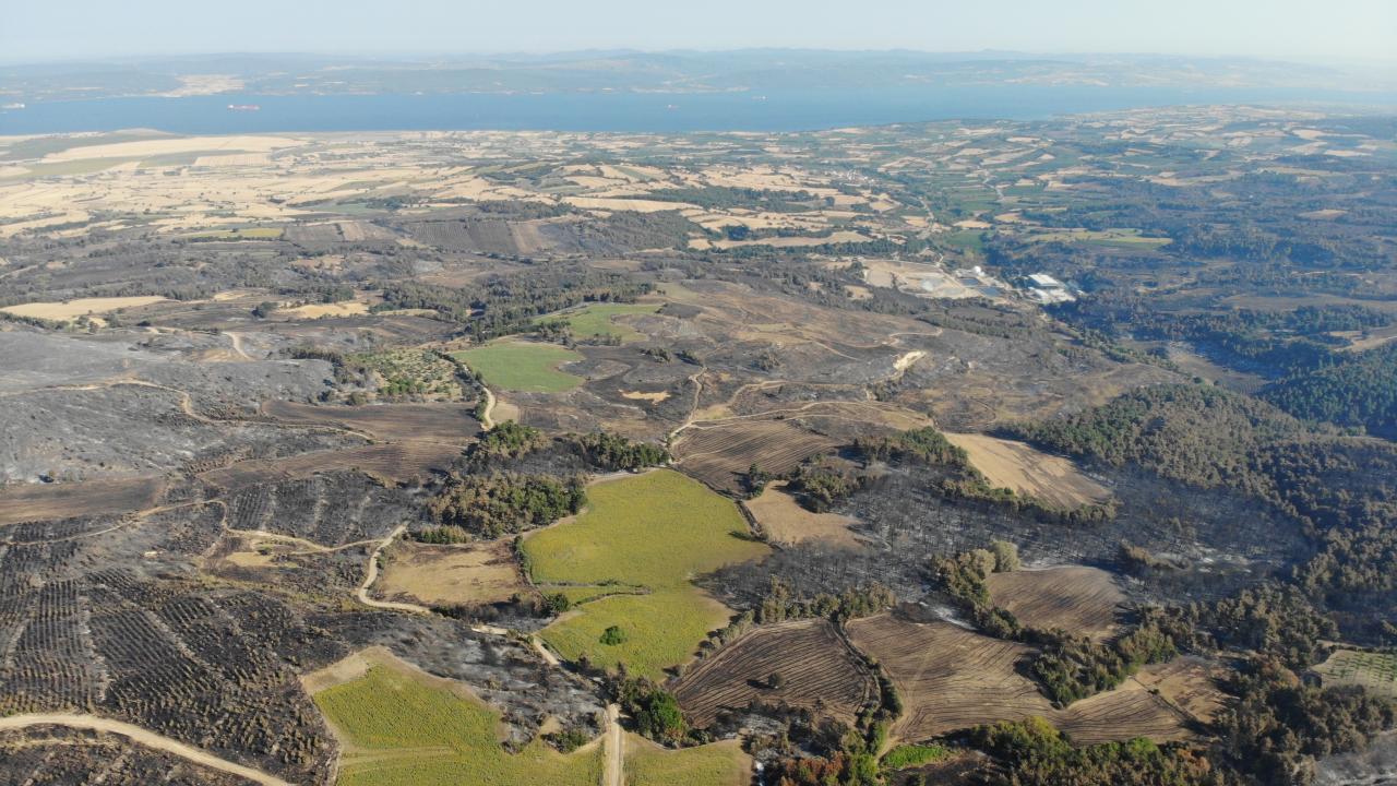 3 bin 500 futbol sahası büyüklüğünde 2 bin 500 hektar alan yandı