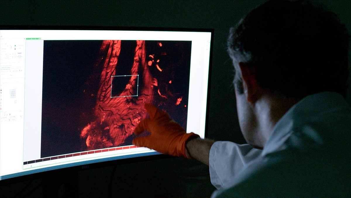 Görüntülemede yeni dönem