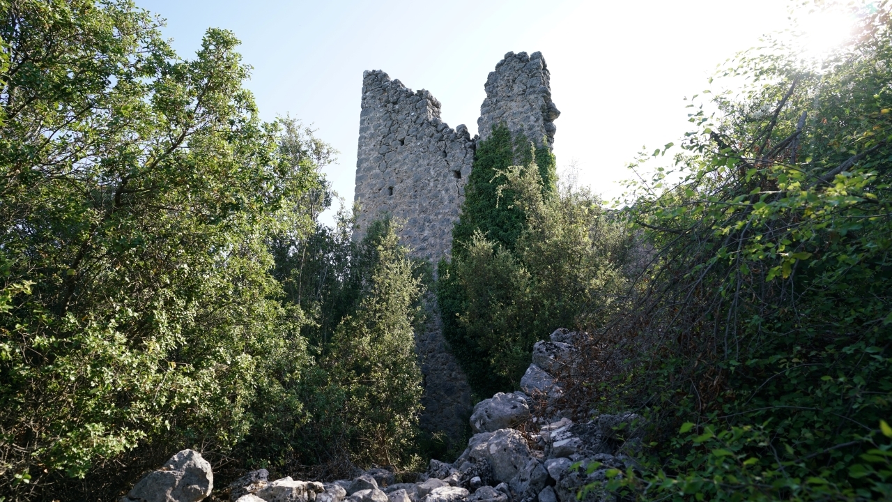 Fotoğraf: Ali Çilesizoğlu