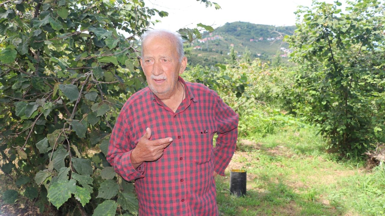 "Fındığın olgunlaşıp toplanmasını bekliyoruz"