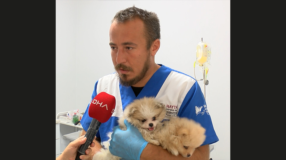 "Bunlar yaşayarak gelenler, belki yollarda ölenler de var"