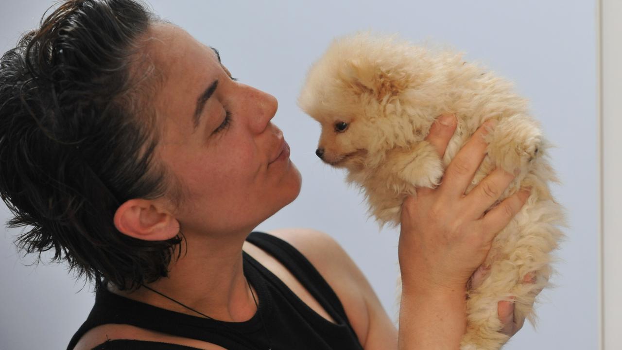 "Üretimi durdurursak bu ızdırap bitecek"