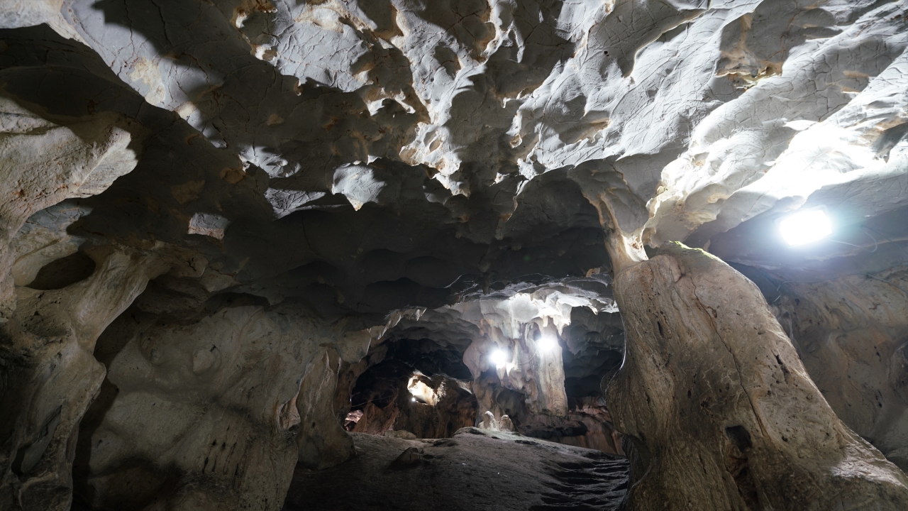 Fotoğraf: Ali Çilesizoğlu