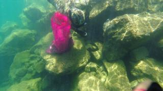 Bodrum'da dalgıçlar deniz dibinden 500 kilogram atık çıkardı