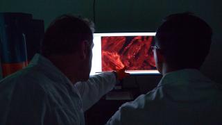 Türk profesörün "şeffaf görüntüleme" teknolojisi kansere yeni çözümler getirecek