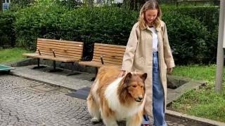 Köpek olmak için 22 bin dolar ödedi