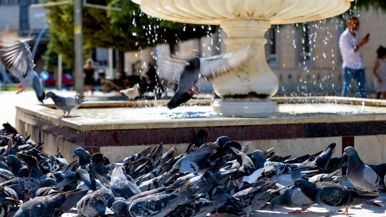 Adıyaman: 40,4 derece