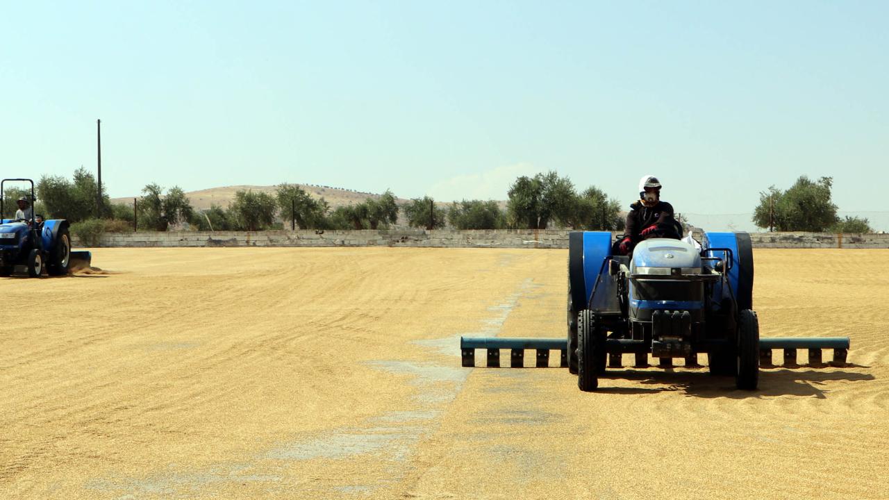 "Bulgurun lezzeti güneşten"