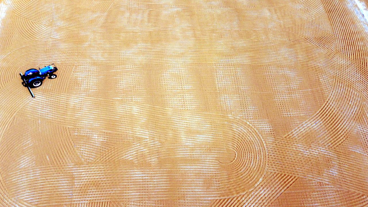 "Türkiye’de yılda, kişi başı 15-16 kilogram bulgur tüketiliyor"