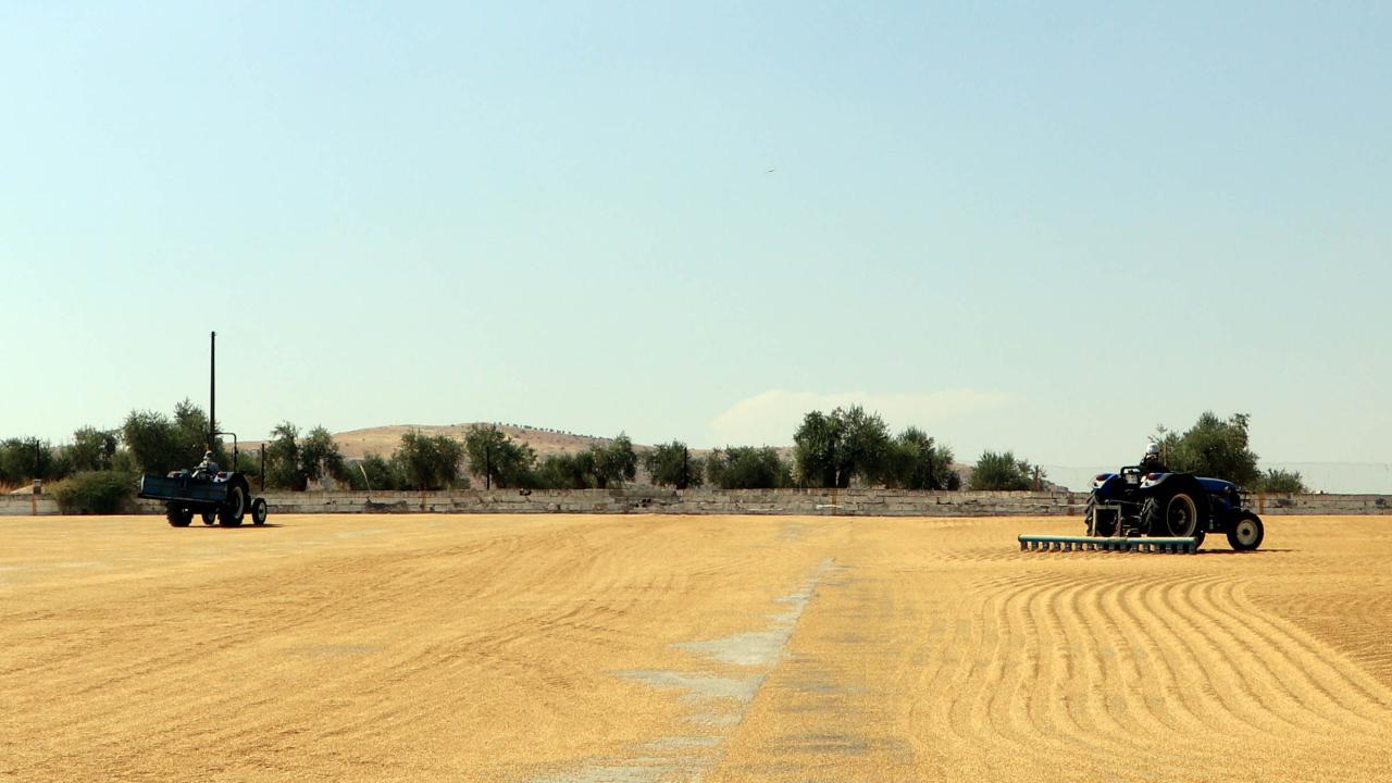 "300 bin ton ihracat gerçekleştiriliyor"