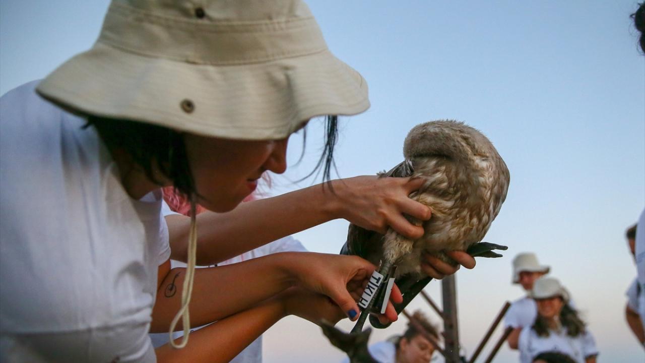 Covid-19 sonrası ilk halkalama