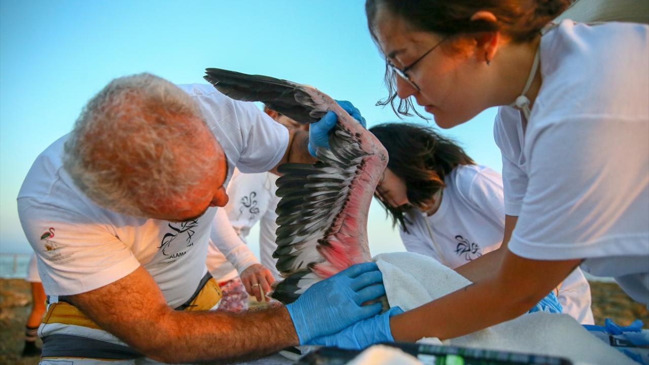Halkalama için eğitim aldılar