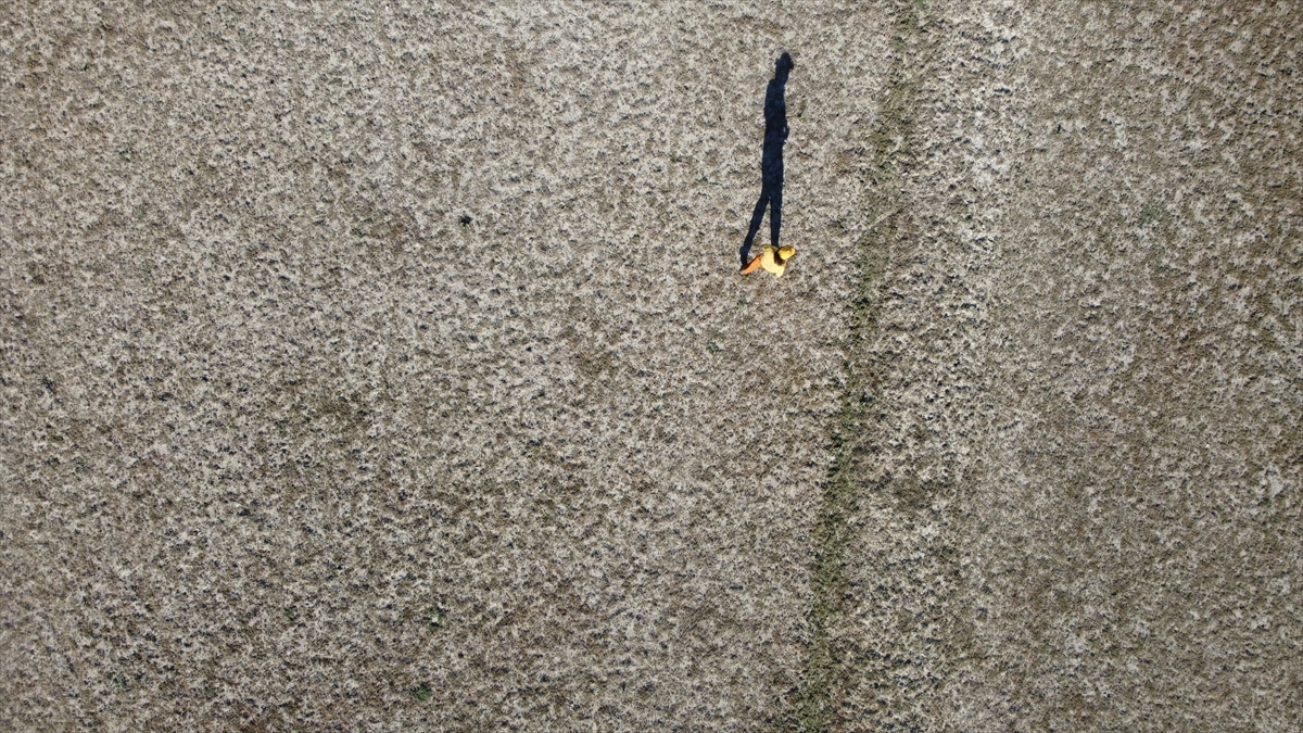 Taşkın nedeniyle 1969`da sular altında kalan tarlalarda şimdi ekim yapılıyor