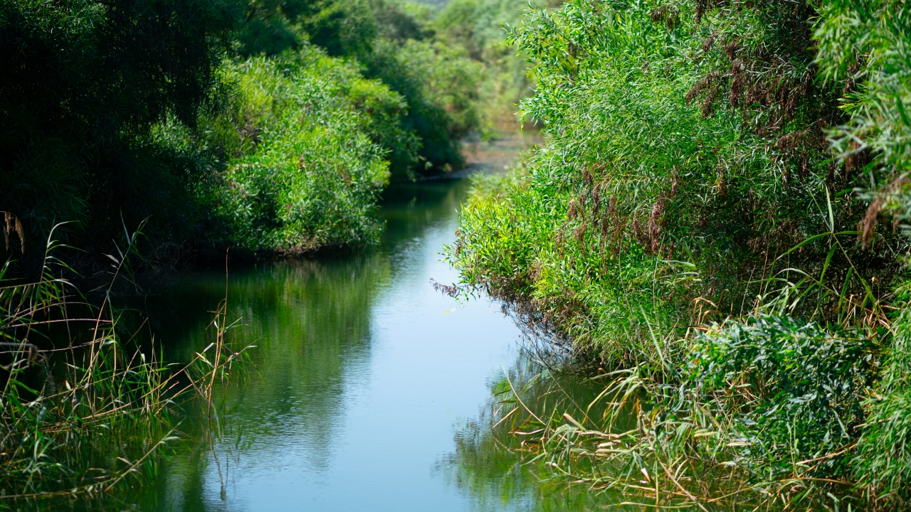 Haber ve Fotoğraf: Ali Çilesizoğlu