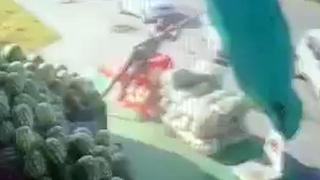 Erzurum'da şiddetli rüzgarda havalanan şemsiye ile uçtu