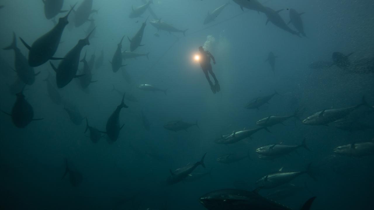 150 milyon dolar gelir hedefi