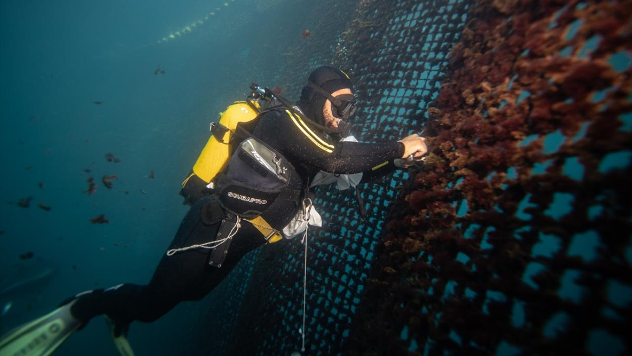 Malta`dan Karaburun`a zorlu yolculuk