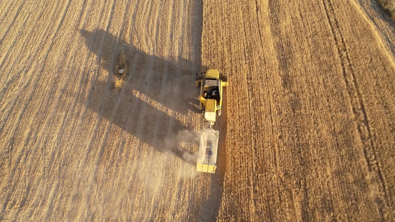 "Kaliteli tohum verimi yüzde 25 artırıyor"