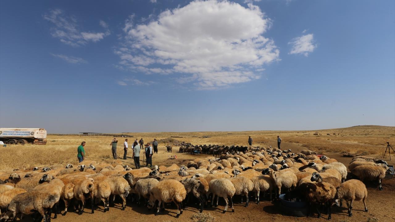"Hayvanlarına rahatlıkla su vermeleri için bu hizmeti sunuyoruz"
