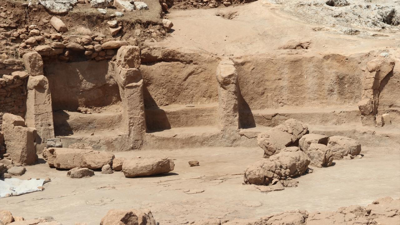 "Buğday, arpa ve baklagillerin yabani tohumlarına rastladık"
