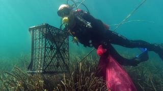 Bodrum'da gönüllü dalgıçlar denizin dibini temizledi