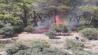 Milas'taki orman yangınının çıkış anı kameraya yansıdı
