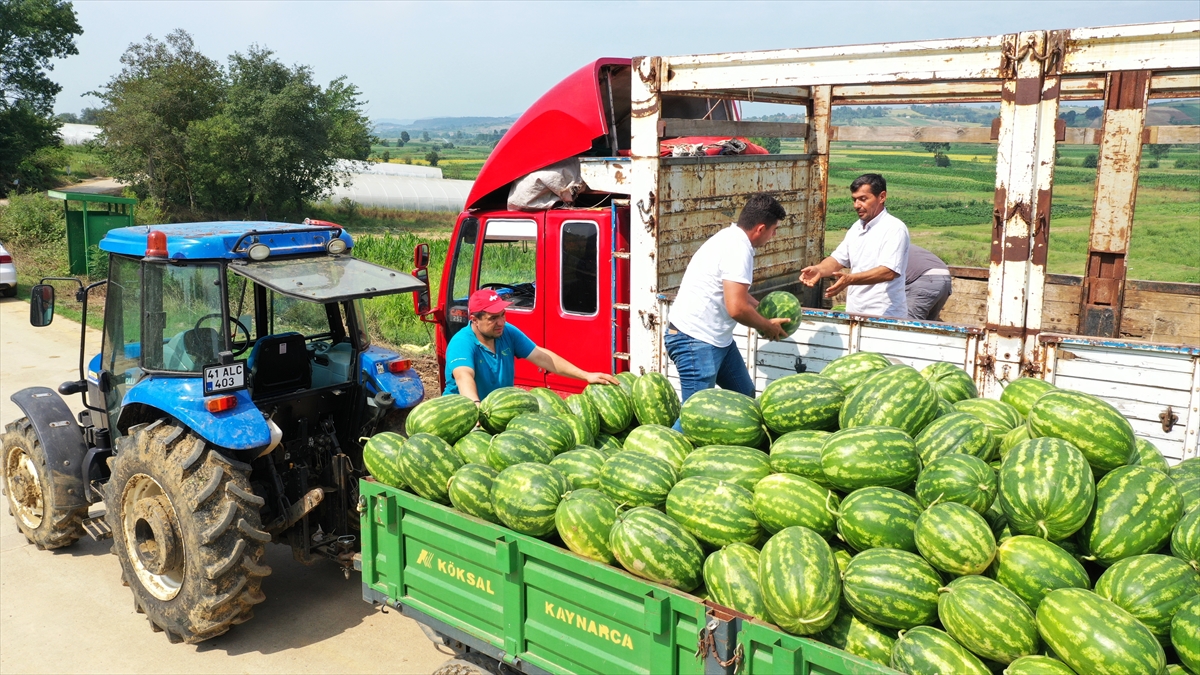 "Kandıra karpuzumuzu yemeyen `Karpuz yedim` demesin"