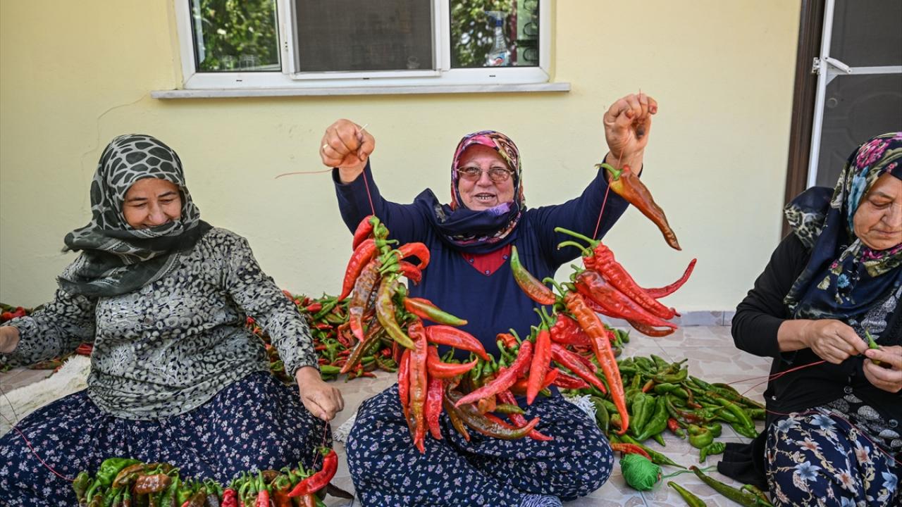 Kadın çiftçilere özel proje