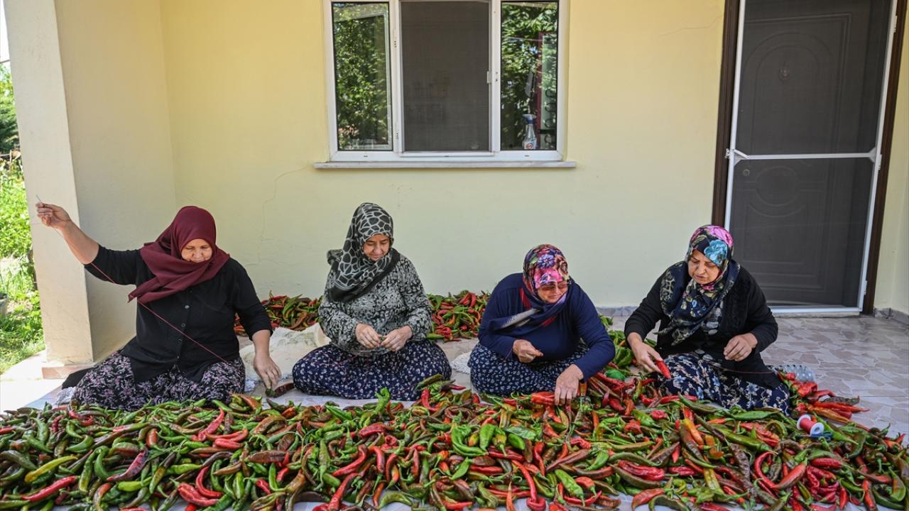 "180 bin fideyi 200 kadın çiftçiye dağıttık"