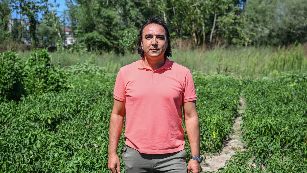 "Kadınların fide yetiştirmekte çektiği zorlukları görerek projeyi hazırladık"