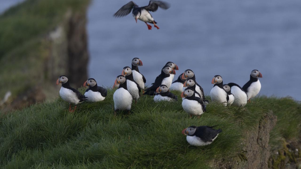 "Adaya giden ilk Türk olmak ayrı bir heyecan"