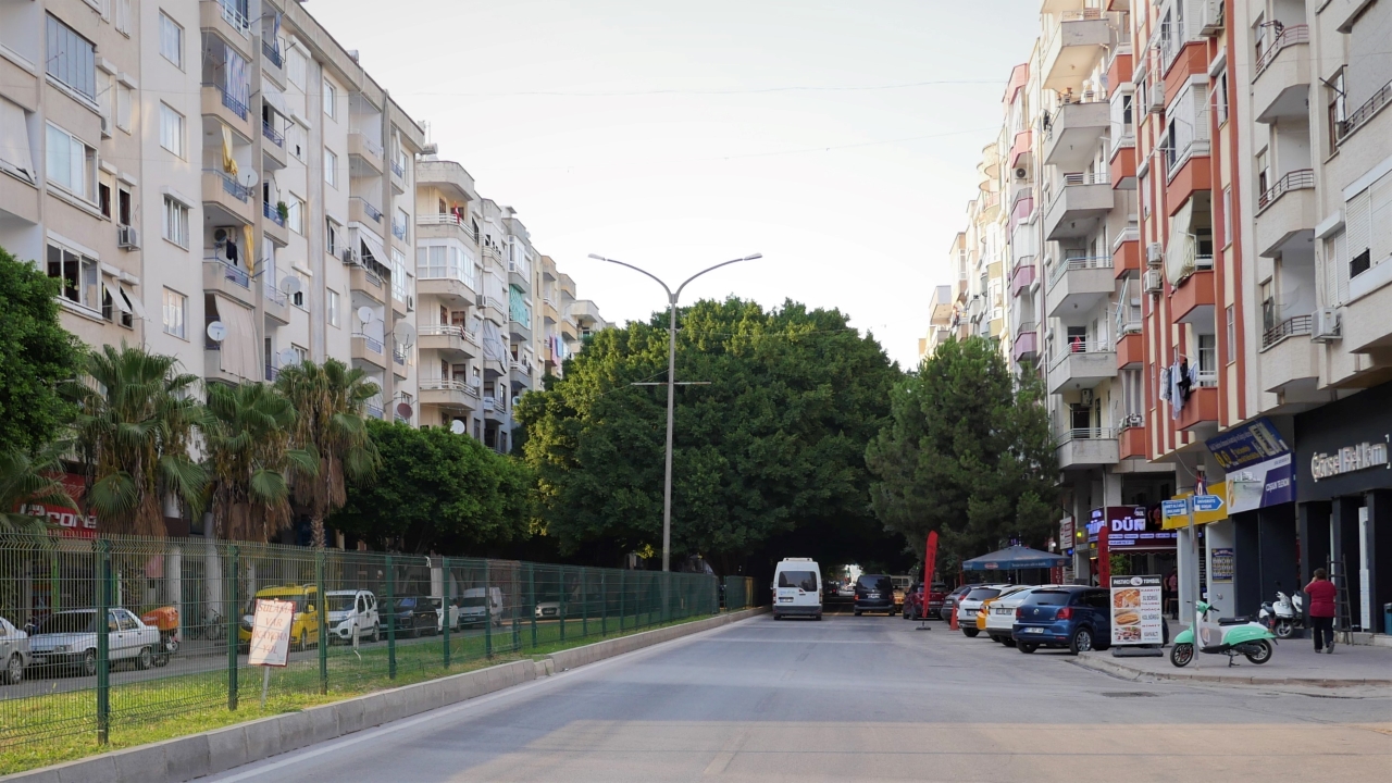 Fotoğraf: Ali Çilesizoğlu