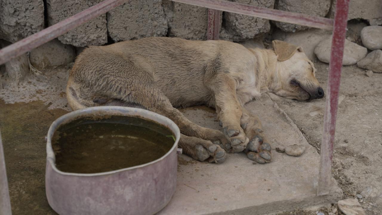 İran’ın suyu kapatması içme suyu tedarikini de olumsuz etkiliyor