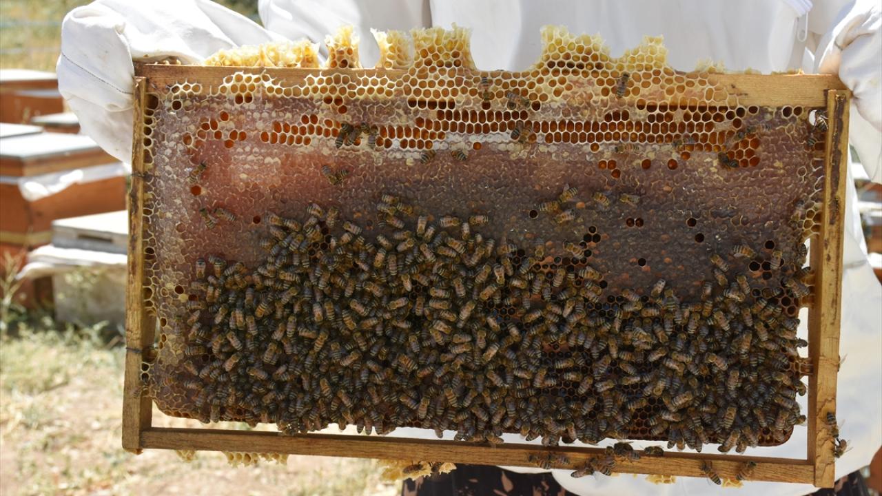"Günlük işlerimizi gelire dönüştürmek istedik"