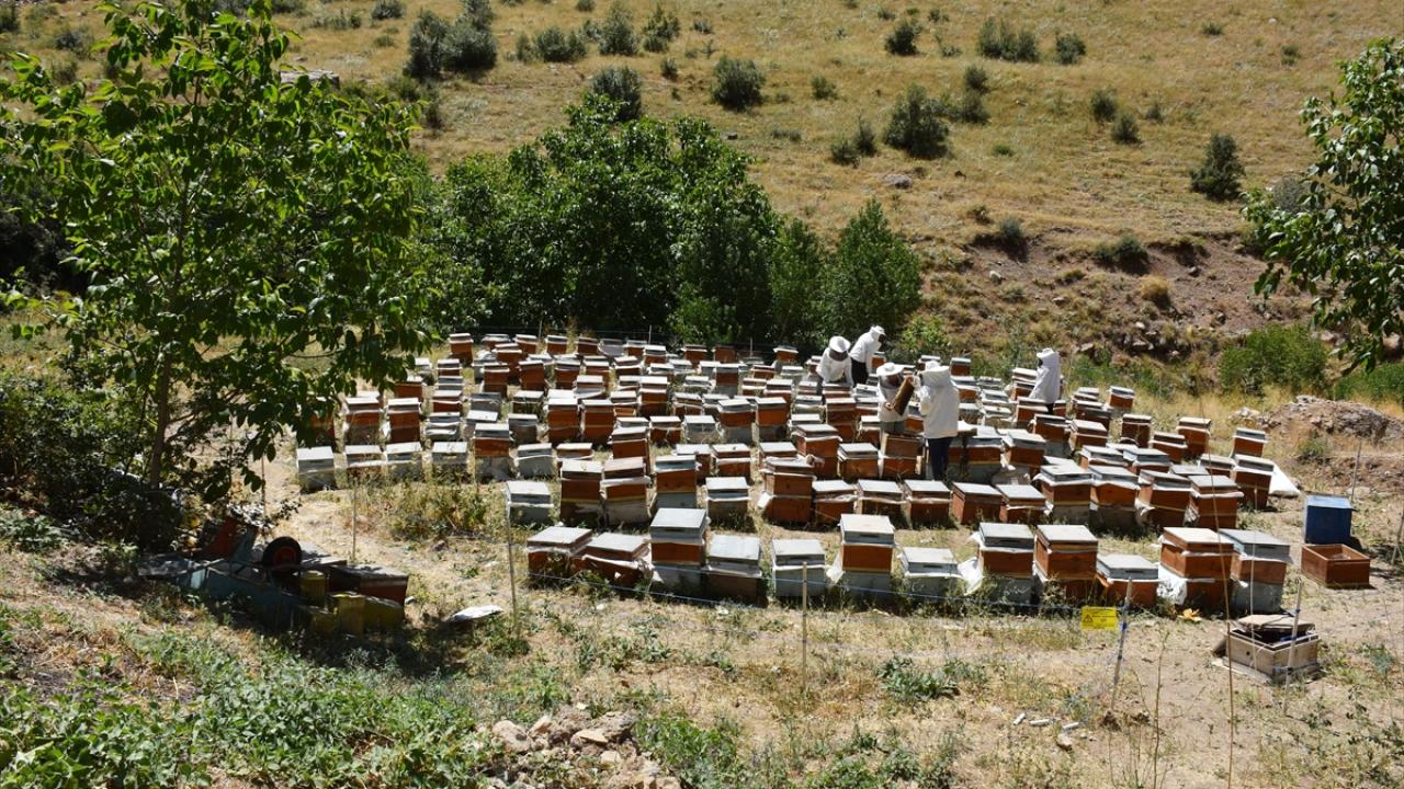 "Buranın doğası bakir, ürünleri organiktir"
