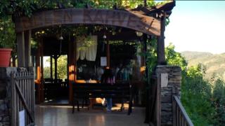 Belen kahvesindeki acı olayın ardından yakılan 'Ormancı Türküsü'nün hikayesi