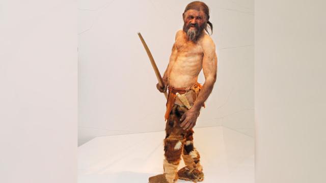 5 Bin Yıllık Ötzi Mumyasından Elde Edilen Antik Maya ile Ekşi Ekmek Üretildi