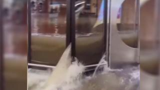 Almanya'da Frankfurt Havalimanı'nı su bastı