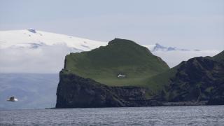 Çatal kuyruklu fırtına kırlangıcının peşinde "dünyadaki en izole eve" konuk oldu