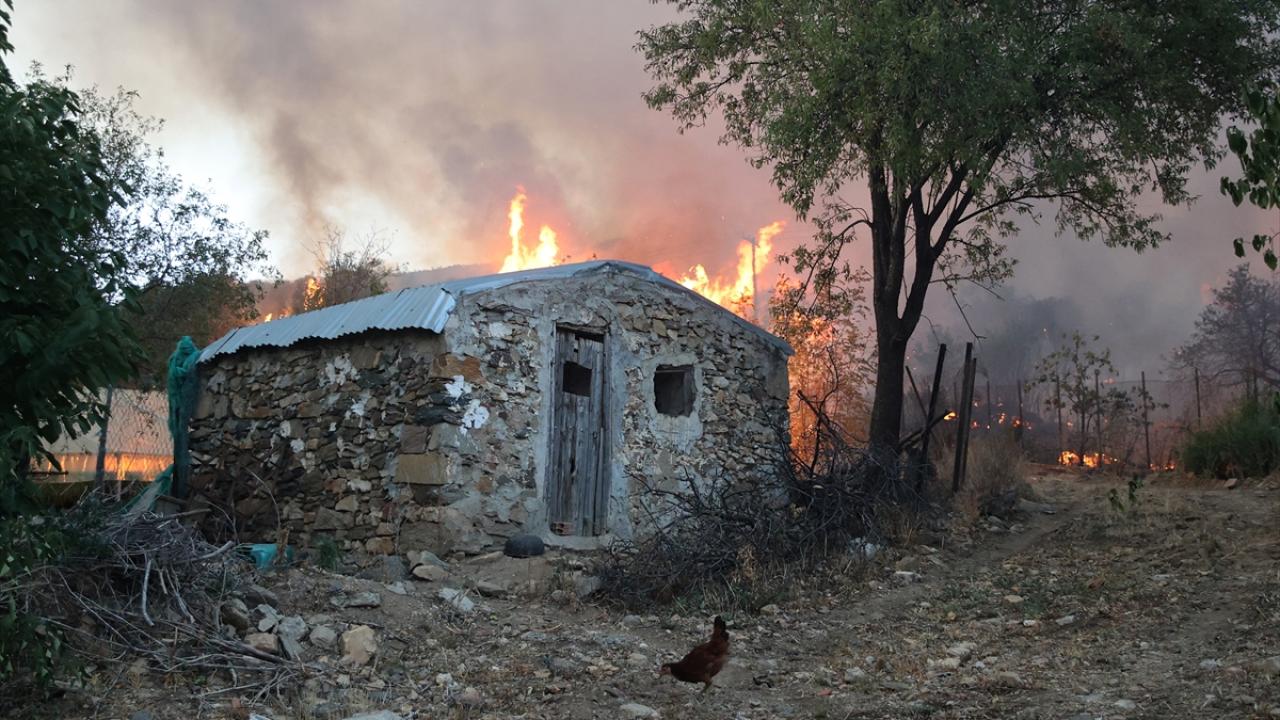 Yunanistan'da yangın Batı Trakya'da Türklerin yaşadığı köylere ulaştı
