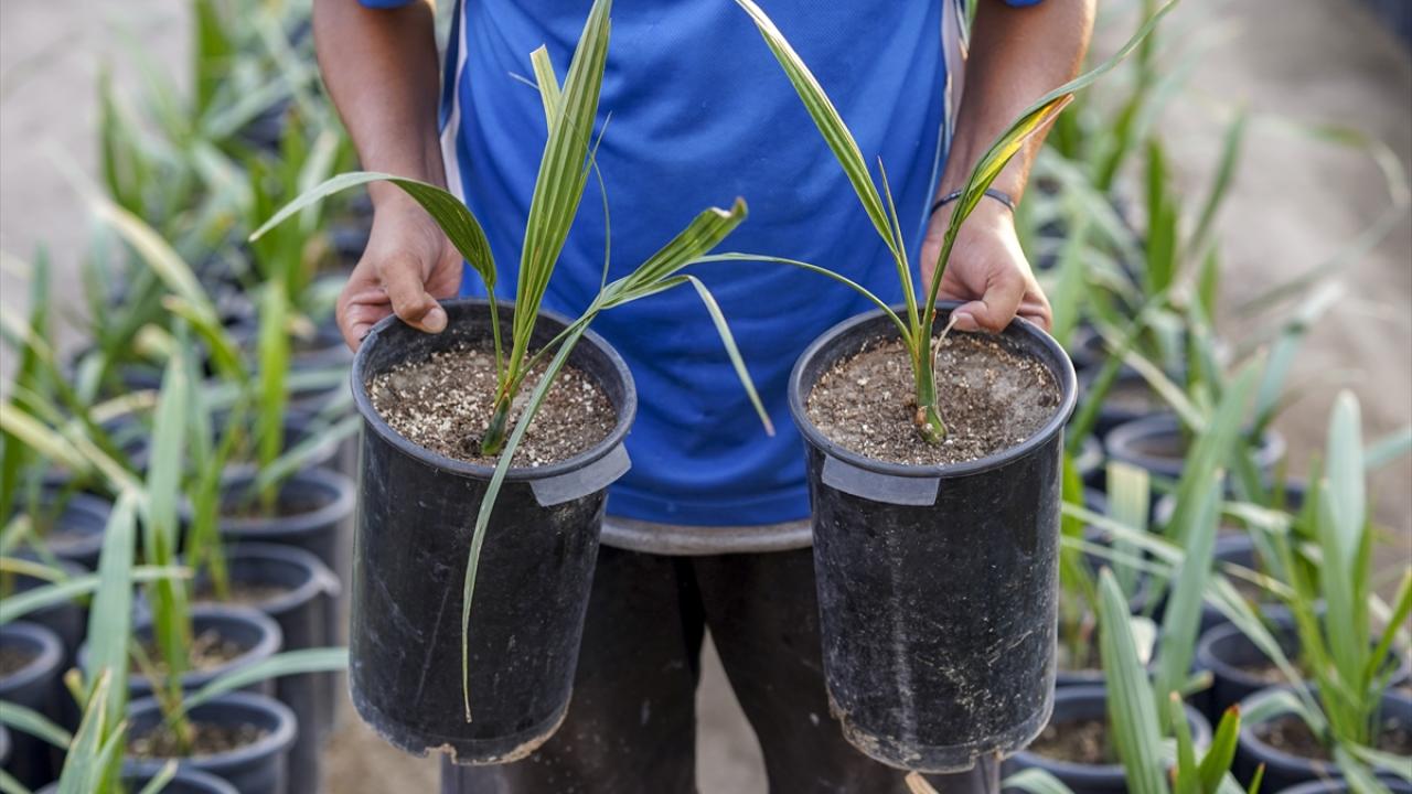 "Atalarımın mirasını canlandırmaya çalışıyorum"