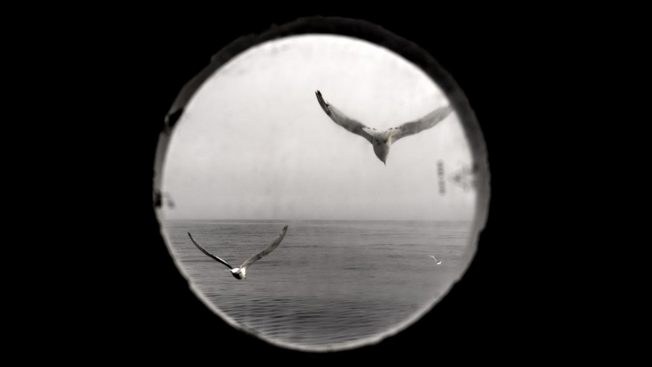 Kuzey Kutbu, kaşiflerin ve bilimsel araştırma ekiplerinin gözde noktalarından