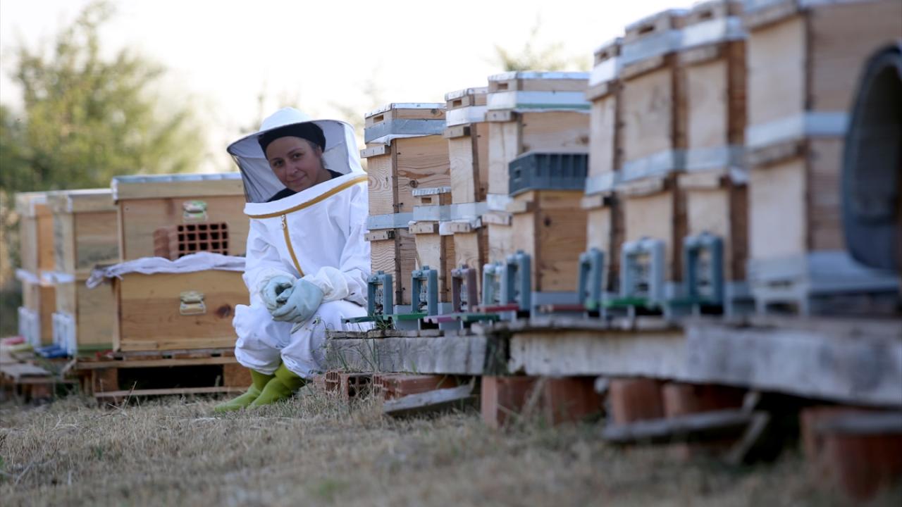 "Keşke daha önce gelseymişim"