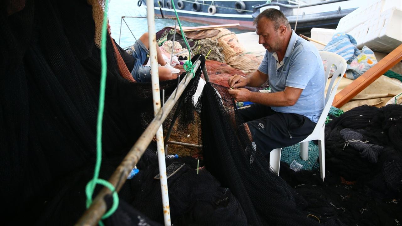 "Amacımız vatandaşa balığı ucuza yedirmek"