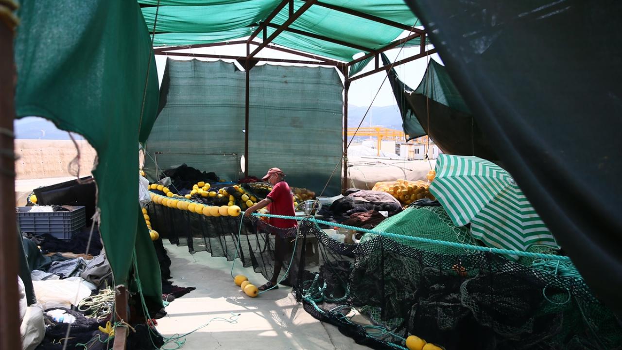 "Allah sağlık sıhhat, balık camiasına bol kazanç versin"