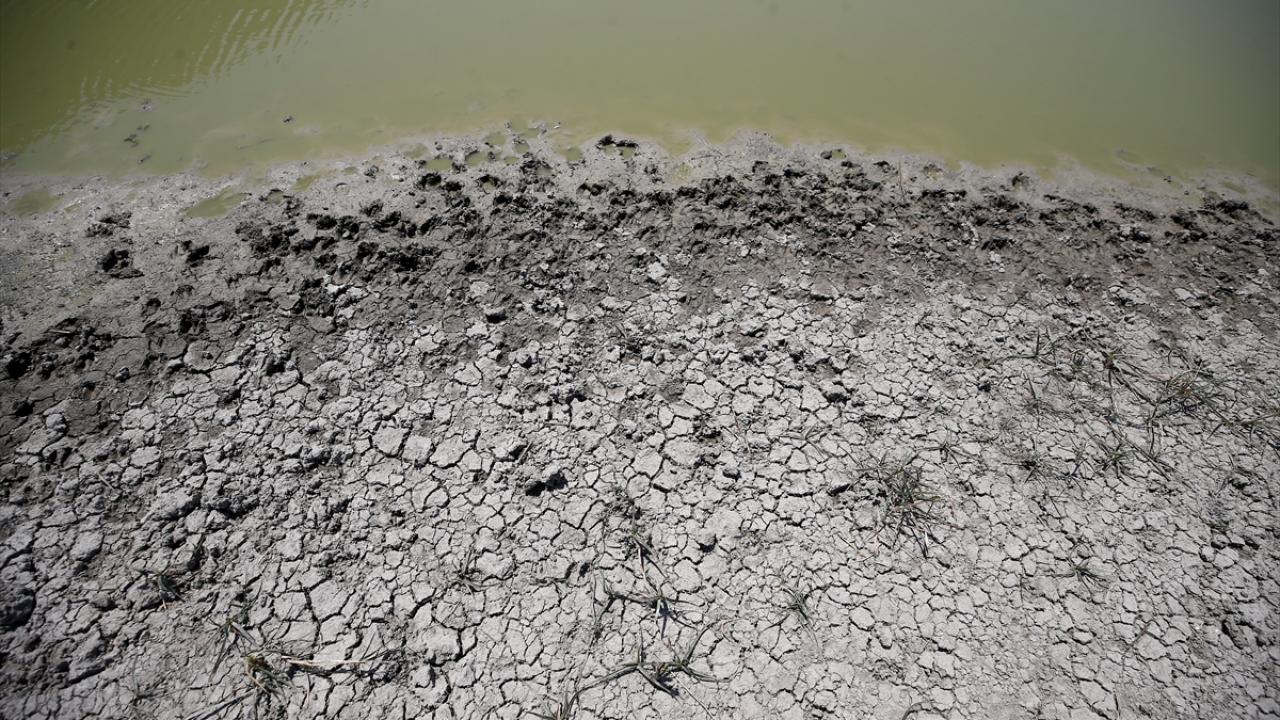 "Kuraklığın etkisi çiftçiye olduğu gibi hayvancılara da yansıyor"
